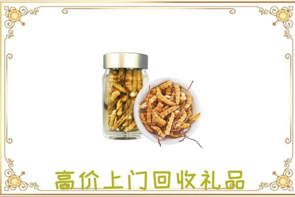 蒲城周边回收虫草